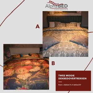 Alphabed Zaanstad image 3