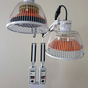 B Side Counselling, Special Needs en Natuurgeneeswijzen image 2