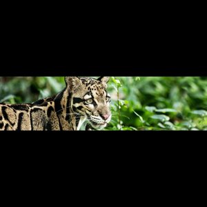 Stichting Ouwehand Zoo Foundation image 2