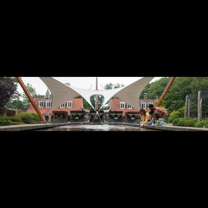Stichting Ouwehand Zoo Foundation image 3