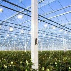 MK de Kwakel B.V. image 2