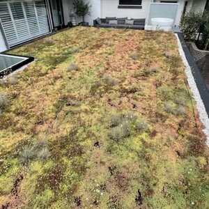 Re-green Projects image 3