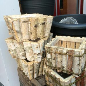 Neeltje's Bloemen image 5