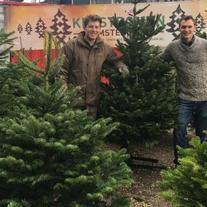 Kerstboom Amsterdam image 6