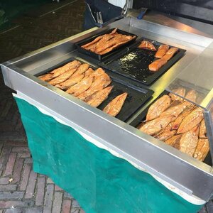 Visspecialist de Dolfijn image 2