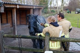 Paard belandt in sloot in Eemnes