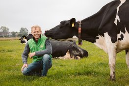 Campina Open Boerderijdagen 2026: boerderijen in Utrecht open voor publiek