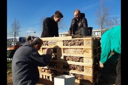Een groen bedrijventerrein werkt beter. Hoe pak je het aan?