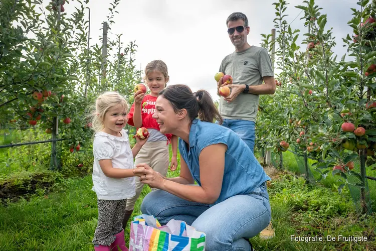 Utrechtse fruittelers openen hun boomgaard: geniet van de oogst van dichtbij