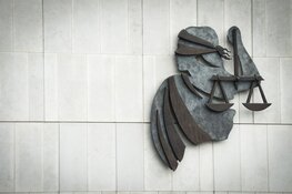 Geldboetes tot 800 euro geëist voor bekladdingen in Nijkerk, Soest, Arnhem en Den Haag