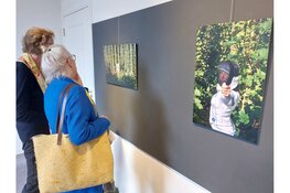 Tussen Verwildering en Verwondering: Almeerse kunstenaars vieren de natuur in Kasteel Groeneveld